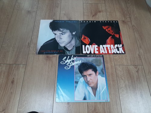 Shakin stevens x 12 - shakin', 3
