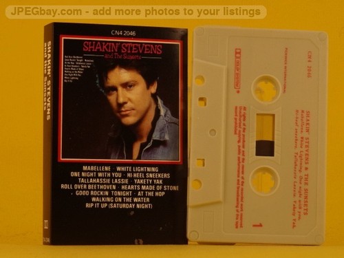 Shakin stevens and the sunsets - stevens,
