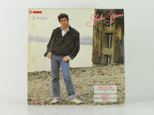 Shakin stevens because love - shakin',
