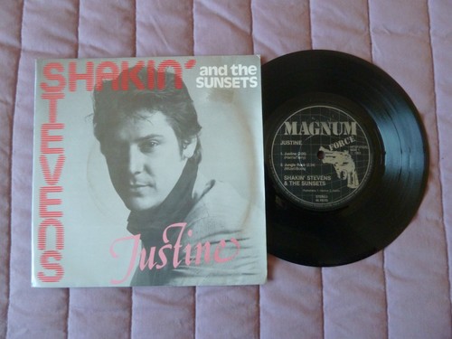 Shakin stevens the sunsets - shakin',