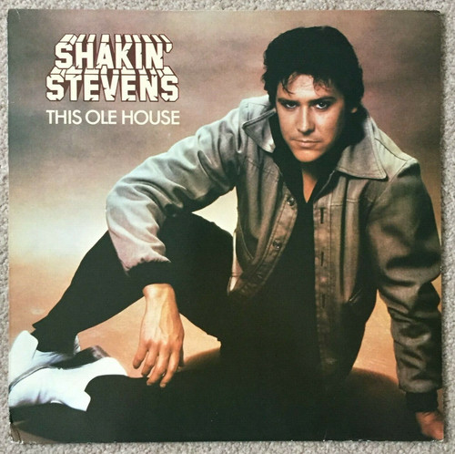 Vinyl record shakin - vinyl,