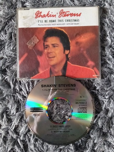 1991 single shankin - -,