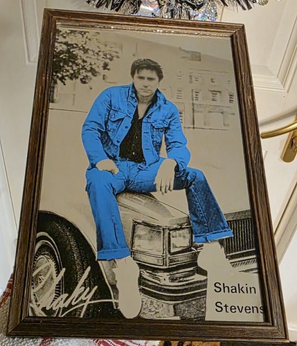 Shakin stevens original 80s - shakin,